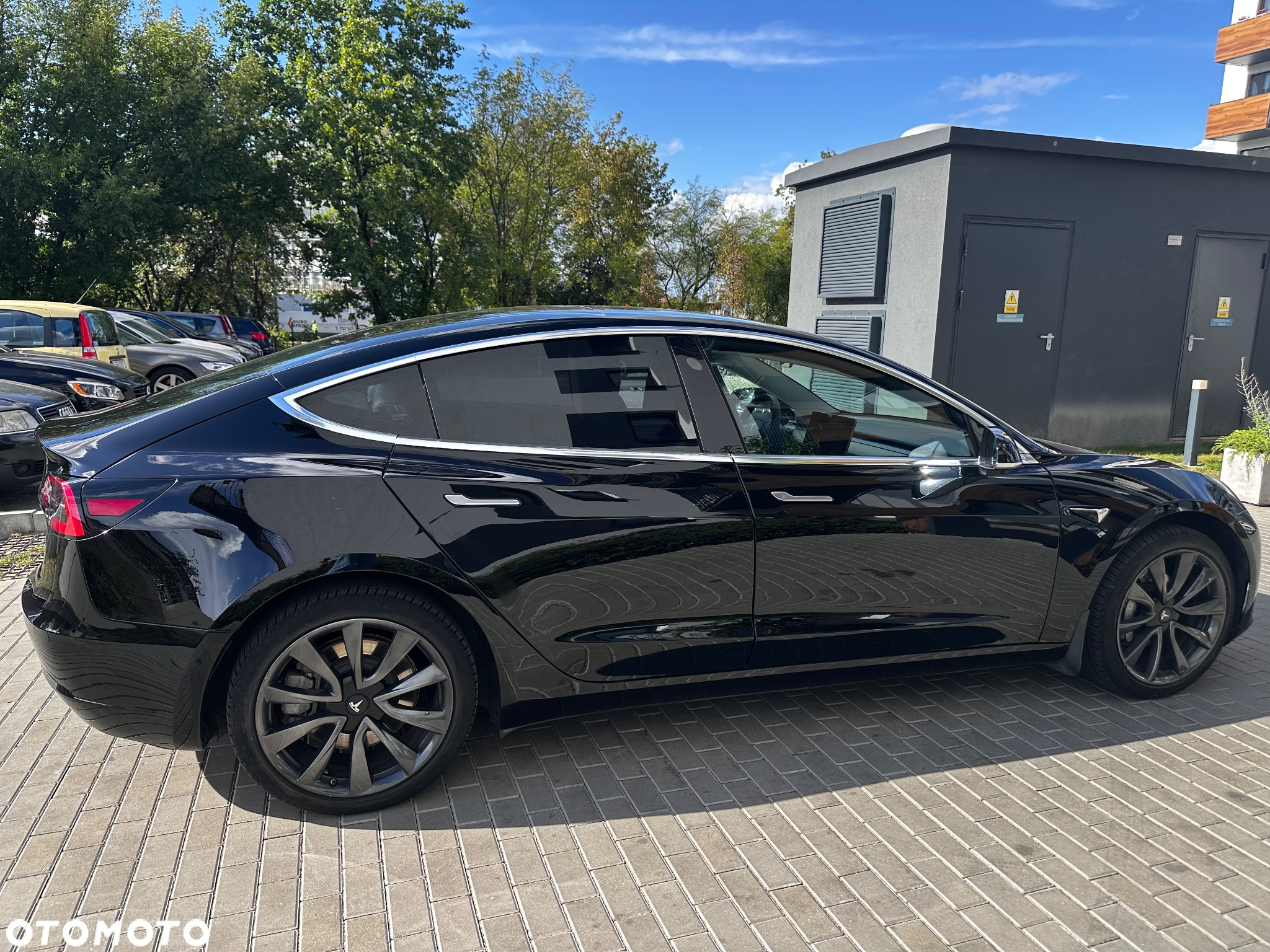 Tesla Model 3 Standard Reichweite Plus Hinterradantrieb - 3