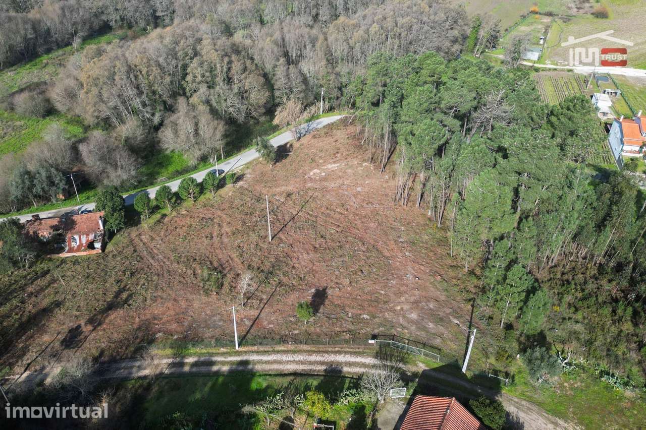 Terreno com pinhal com área 7.700 m2 com possível viabilidade de co... - Grande imagem: 2/29