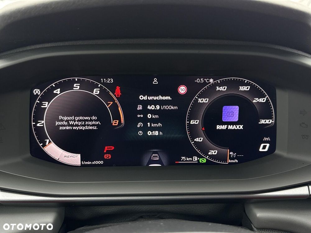 Cupra Terramar - 15