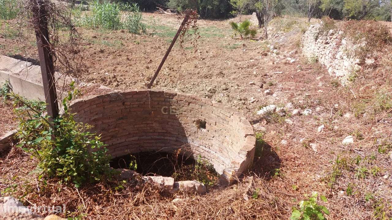 Terreno Rústico com 2.280 m² em Santa Bárbara de Nexe – Sítio do Canal - Grande imagem: 3/24