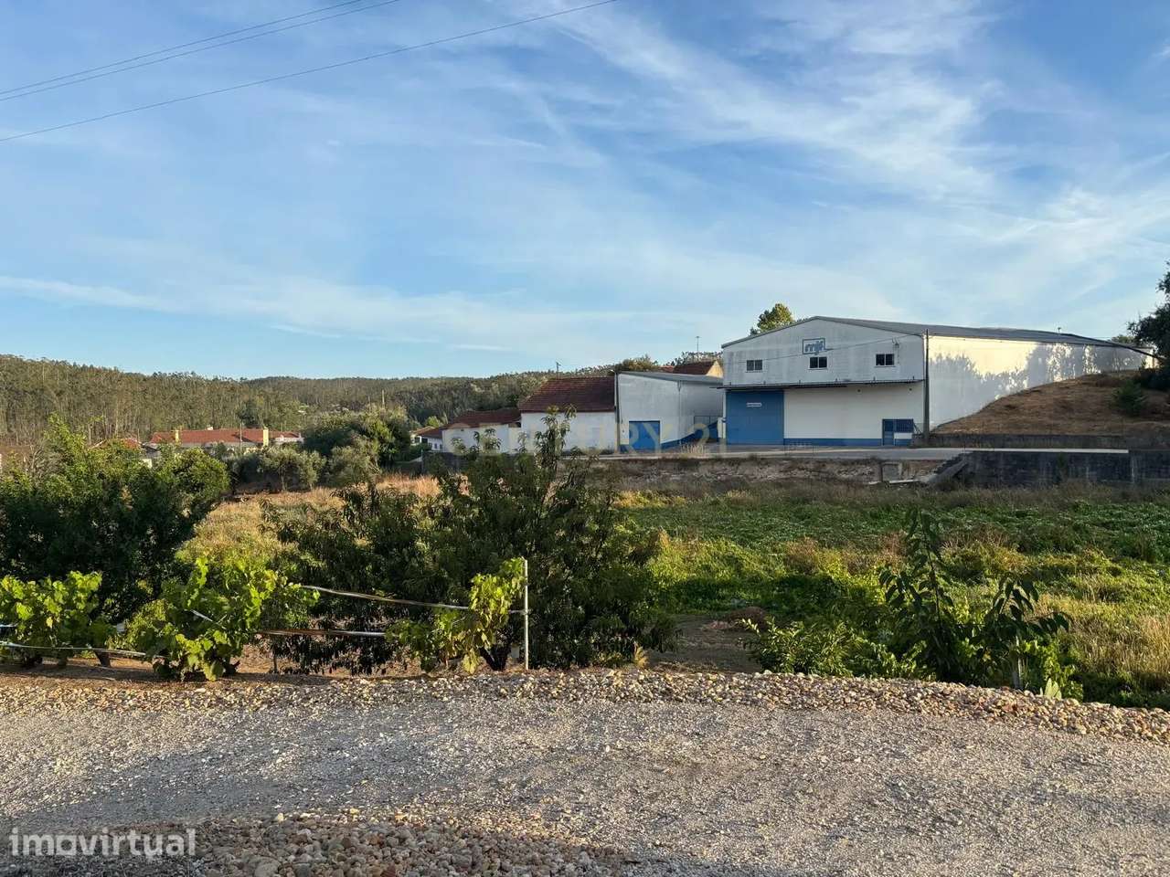 Terreno rústico com viabilidade construtiva em Albergaria dos Doze, Po - Grande imagem: 3/8
