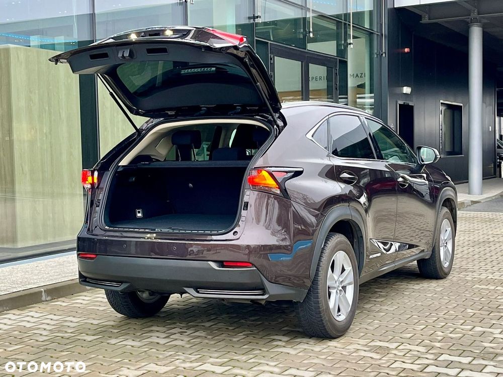 Lexus NX 300h Elite AWD - 31