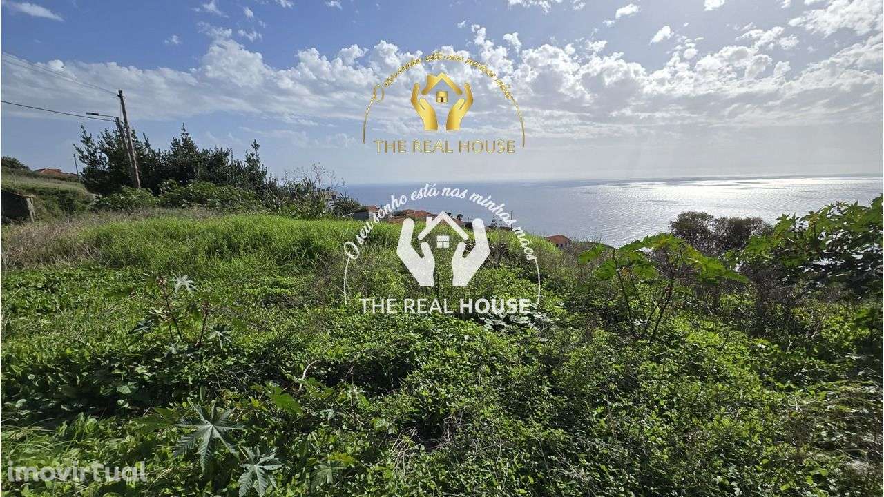 TERRENO VISTA MAR CALHETA - Grande imagem: 3/8