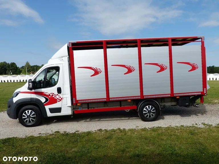 Peugeot BOXER DO ŻYWCA / ZWIERZĄT / BYDŁA / TRZODY CHLEWNEJ / EURO 6 / KAT. B / STAN PERFECT - 11