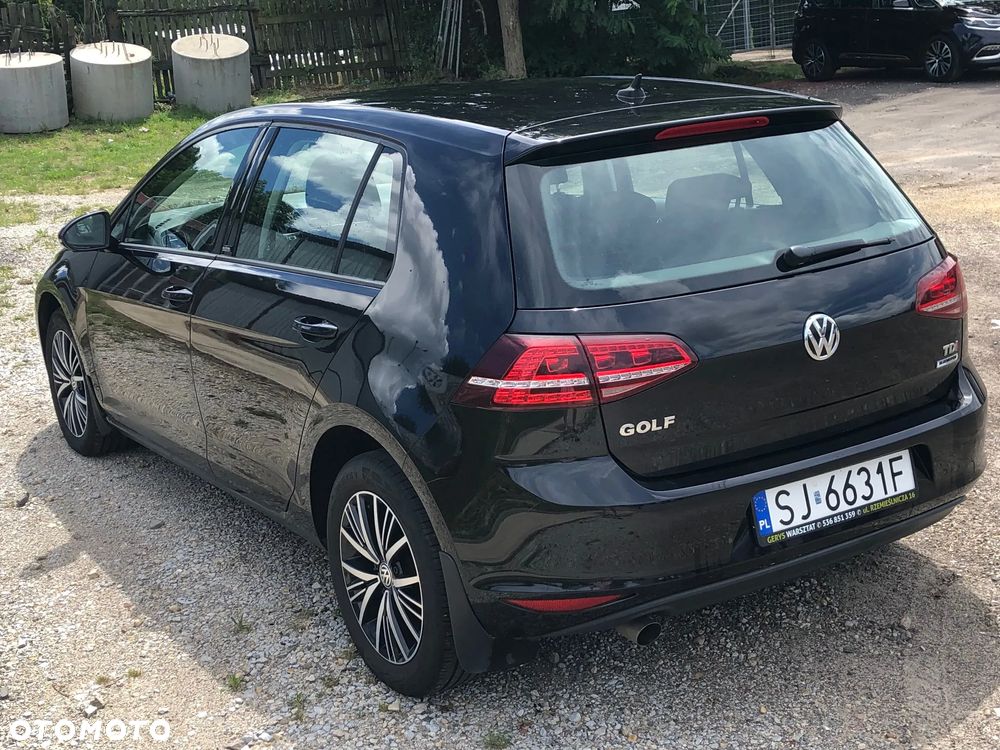 Volkswagen Golf 1.6 TDI BlueMotion Technology DSG Allstar - 30