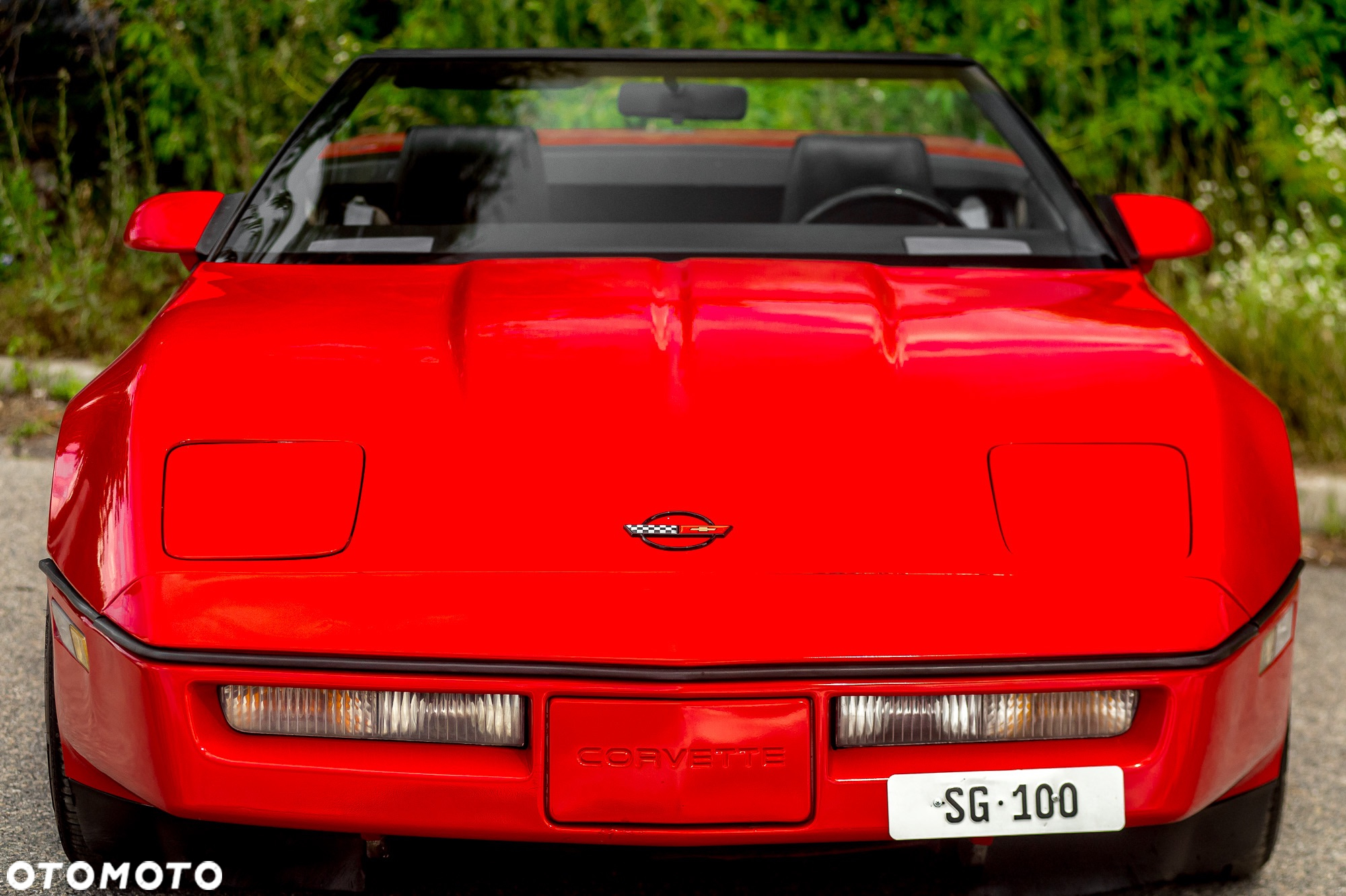 Chevrolet Corvette - 5