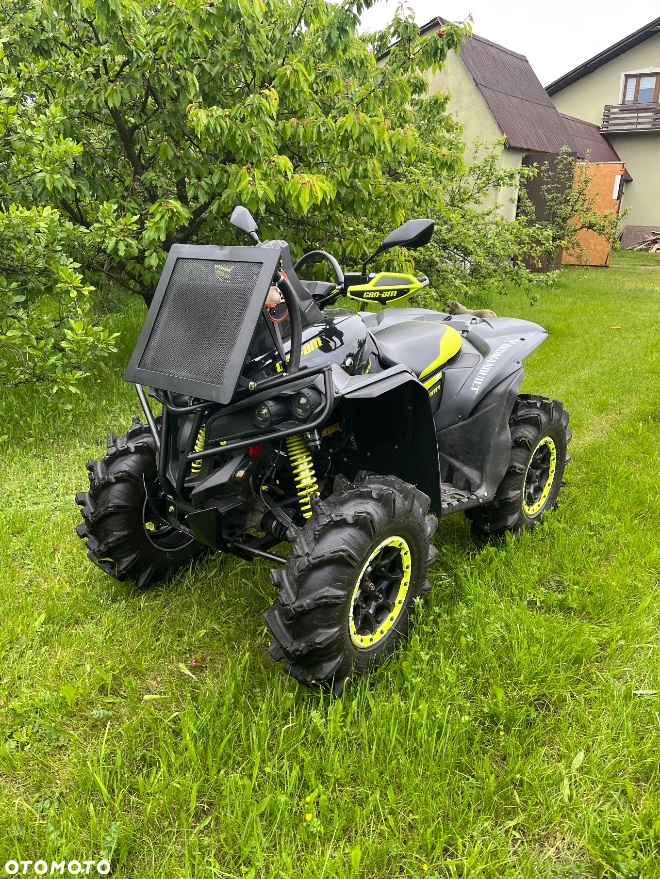 Can-Am Renegade - 6
