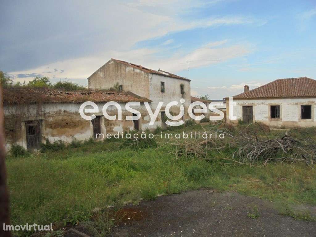 Quinta com moradia T6 em Constância, Santa Margarida da Coutada - Grande imagem: 3/60