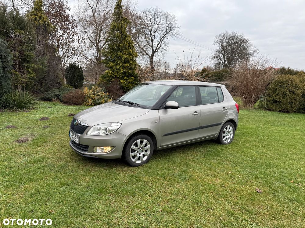 Skoda Fabia - 1