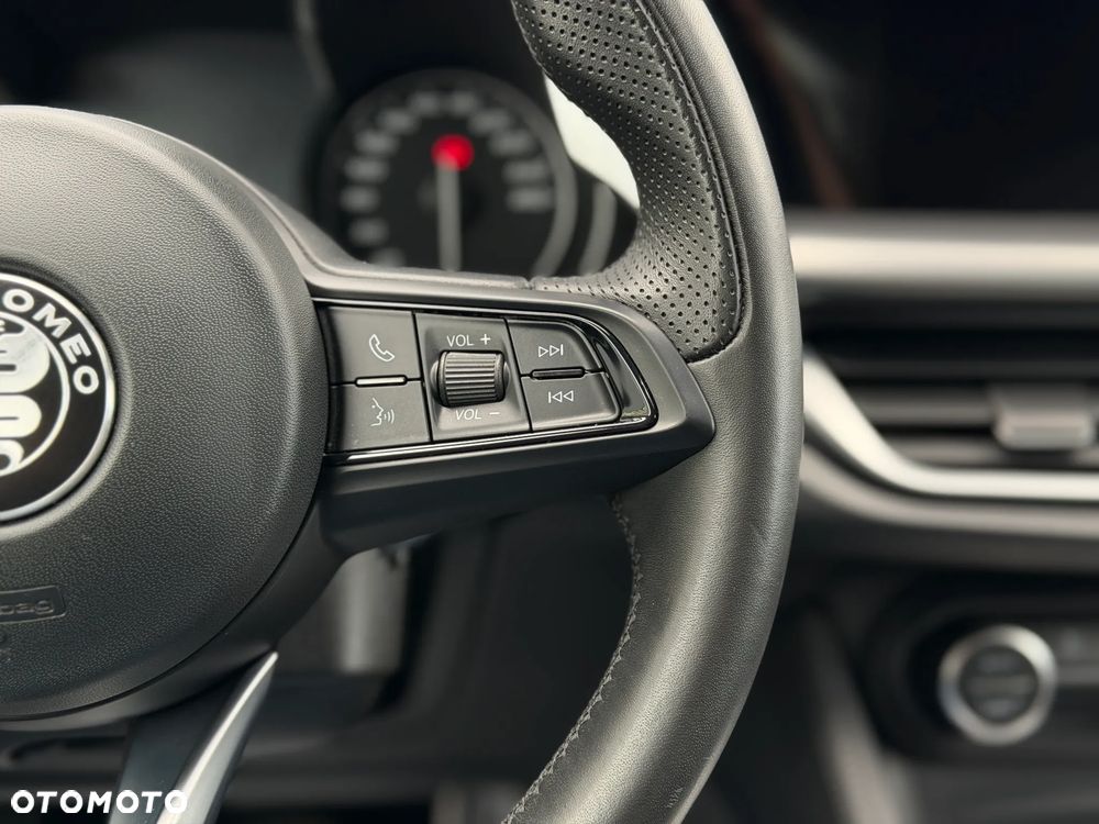 Alfa Romeo Stelvio 2.0 Turbo Q4 - 16