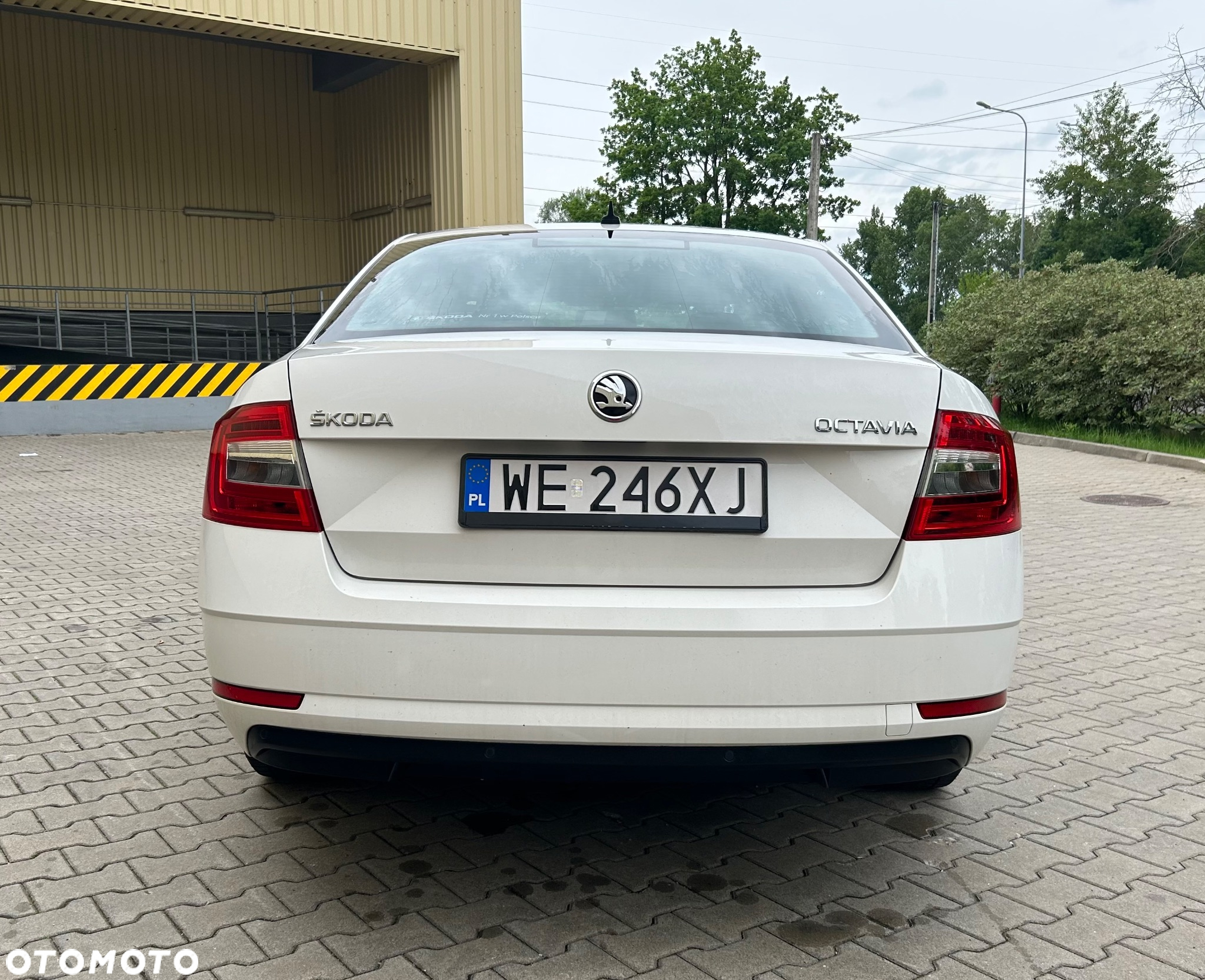 Skoda Octavia 1.6 TDI Ambition - 6