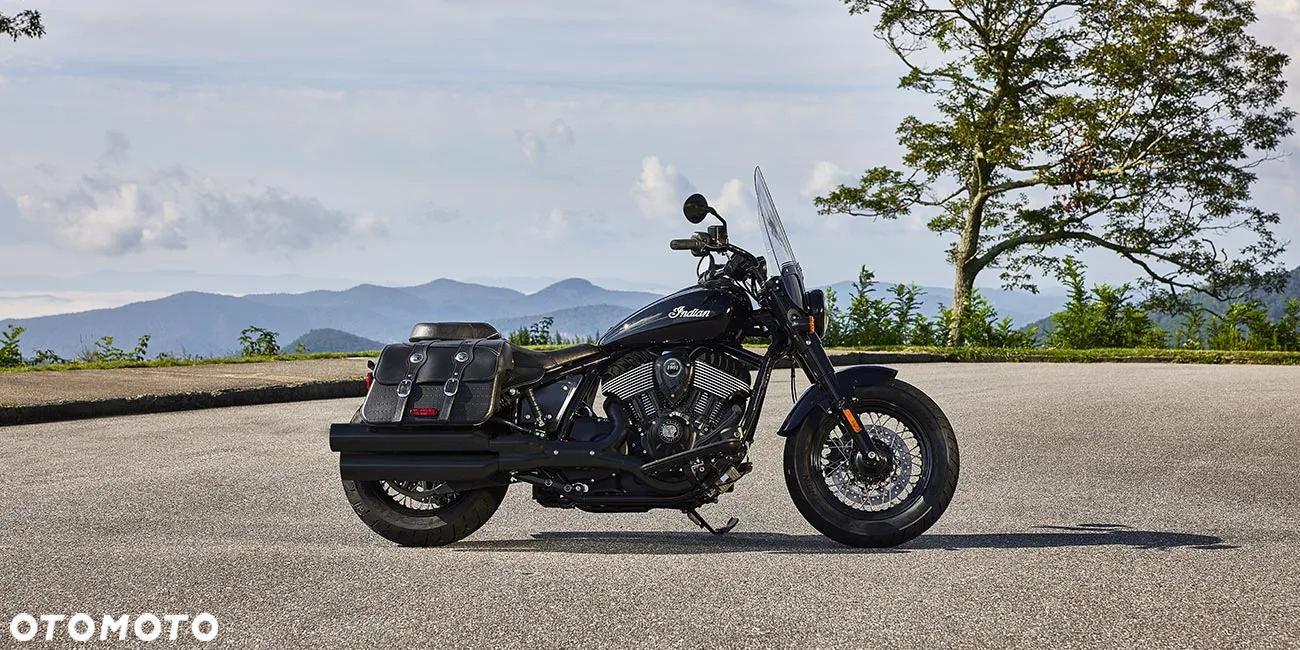 Indian Chief - 9