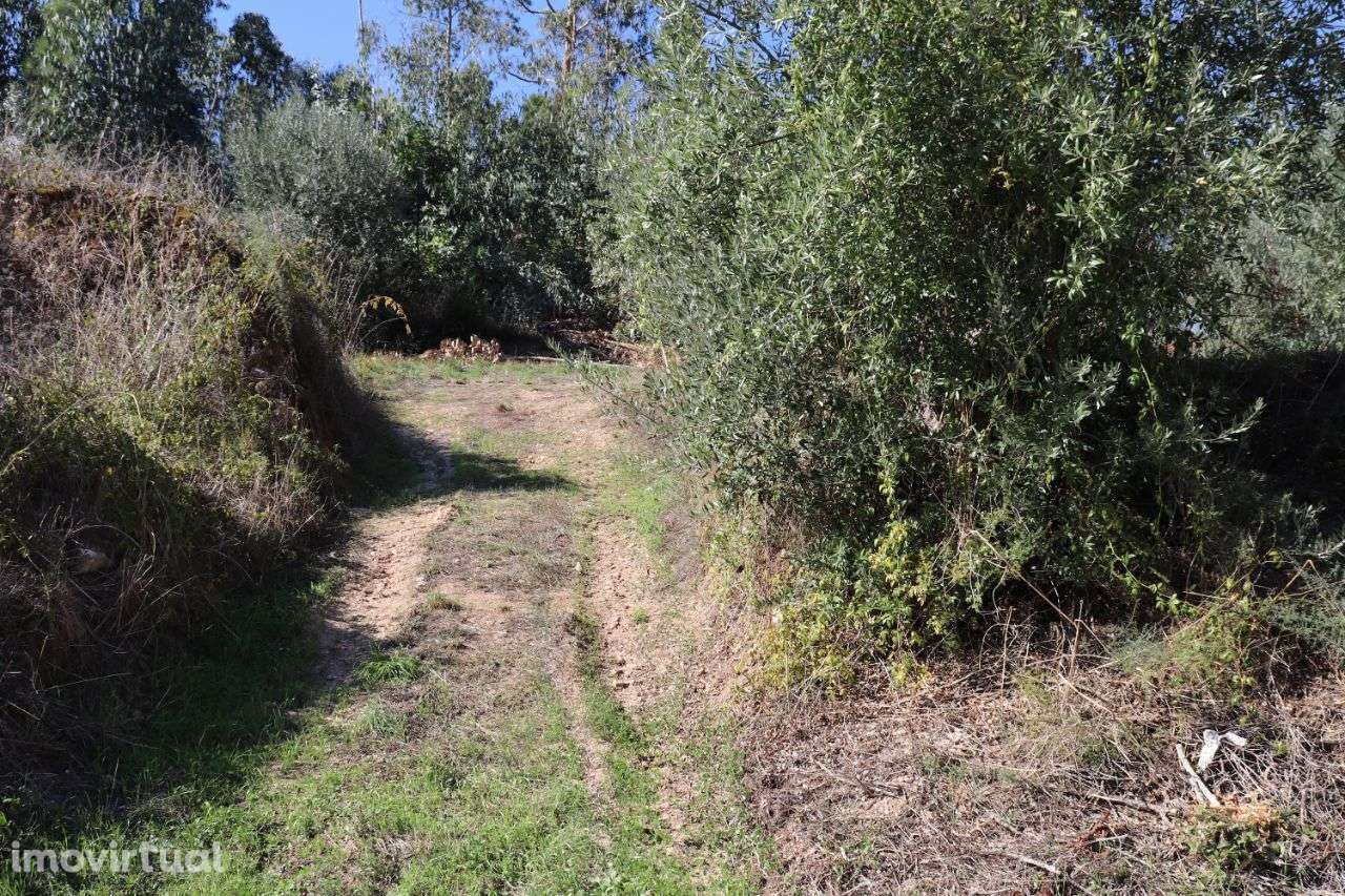 Lote para construção - Grande imagem: 3/3