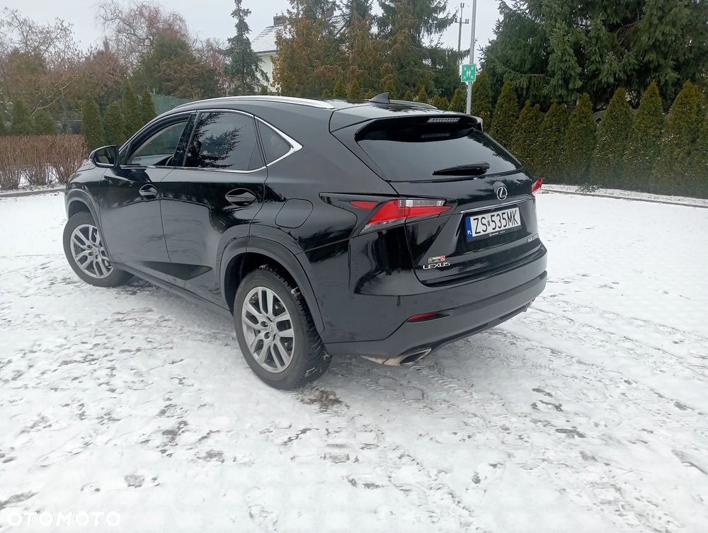 Lexus NX - 16
