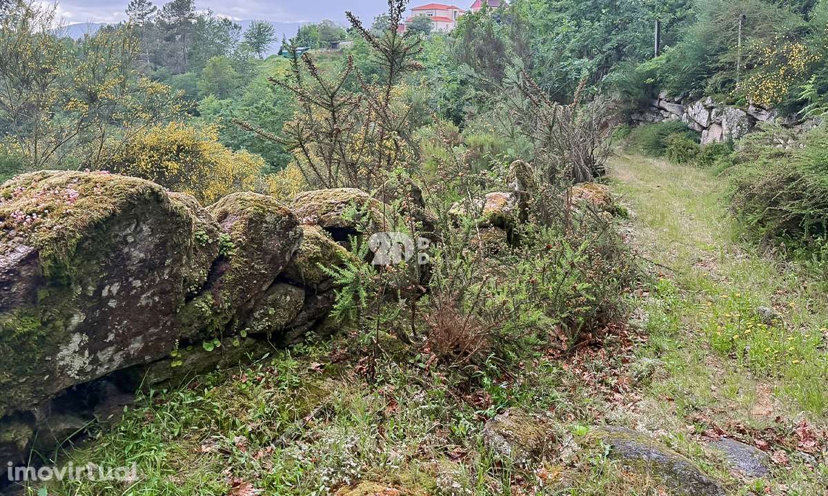 Terreno 4.250m² - Grade - Grande imagem: 2/7