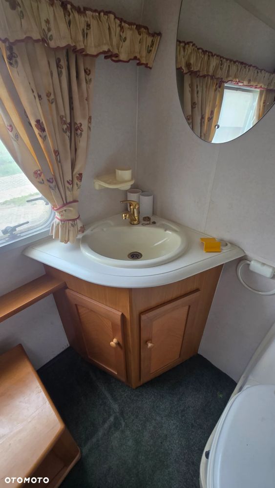 Avondale Avocet Golden - 13