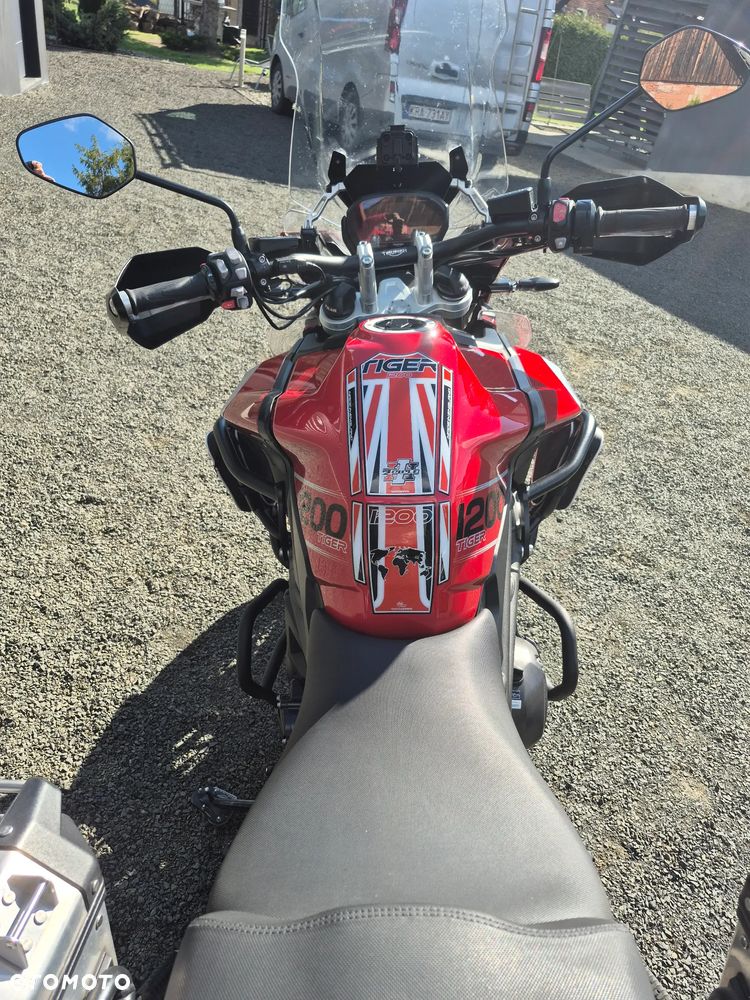Triumph Tiger - 14