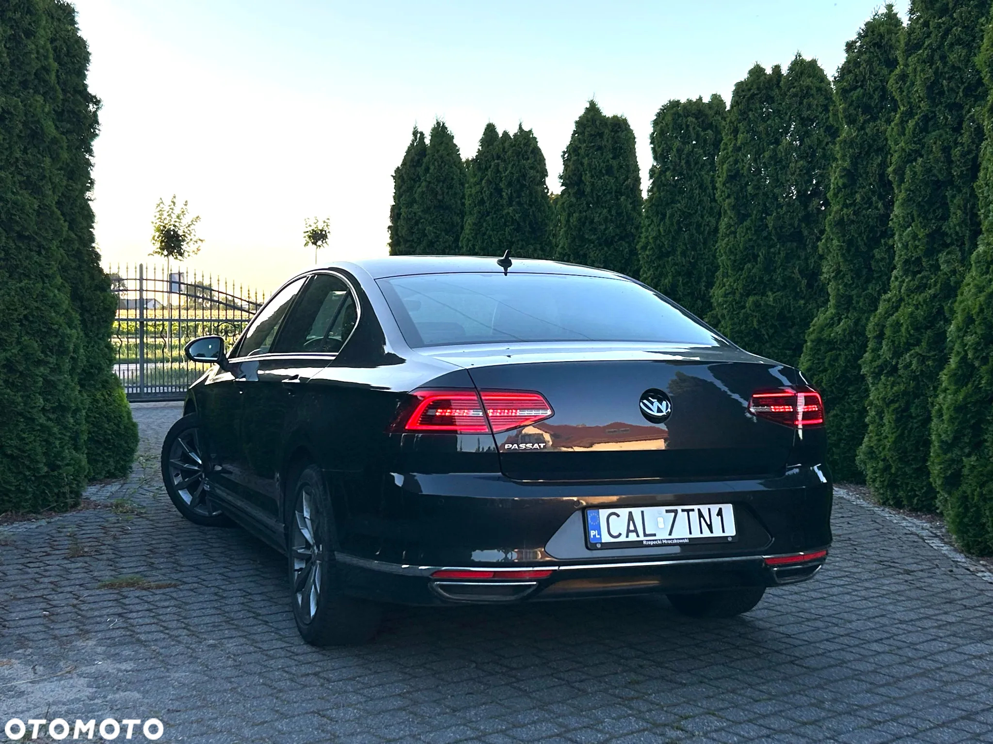 Volkswagen Passat - 7