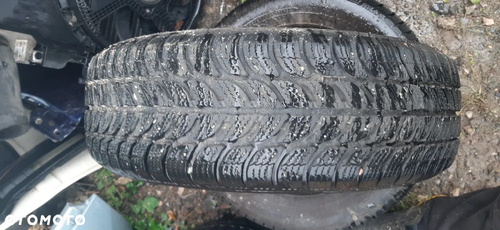 opony zimowe Frigo Dębica 195/65R15 7,5mm 21r - 6