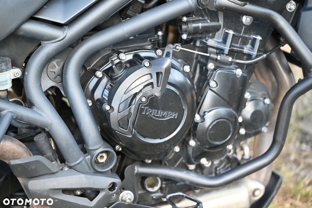 Triumph Tiger - 26