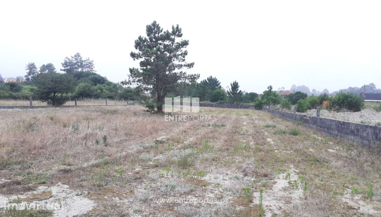 Venda de Terreno com 4.500m², Chafé, Viana do Castelo - Grande imagem: 2/28