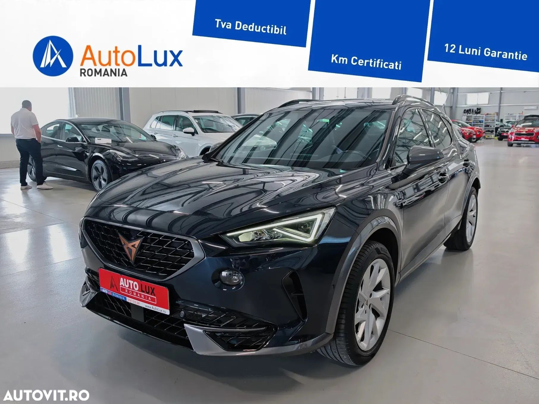 Cupra Formentor 2.0 TDI DSG - 1