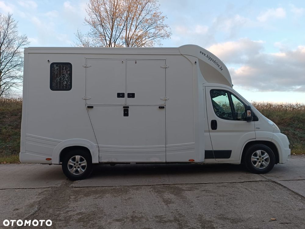 Fiat Ducato  2.3 Klima Koniowóz 2-konie - 2