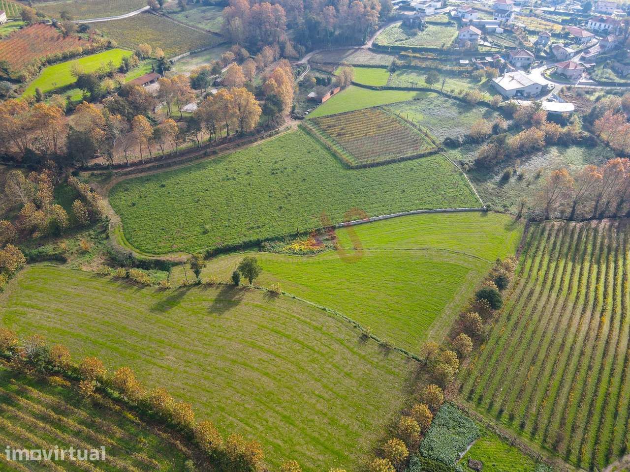 Terrenos Agrícolas com 13.513 m² em Pedreira, Rande e Sernande, Felgue - Grande imagem: 2/4