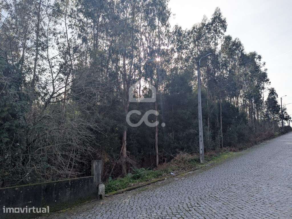 Terreno rústico, para venda com 10.290 m2 em Lousado, Vila Nova de ... - Grande imagem: 3/13