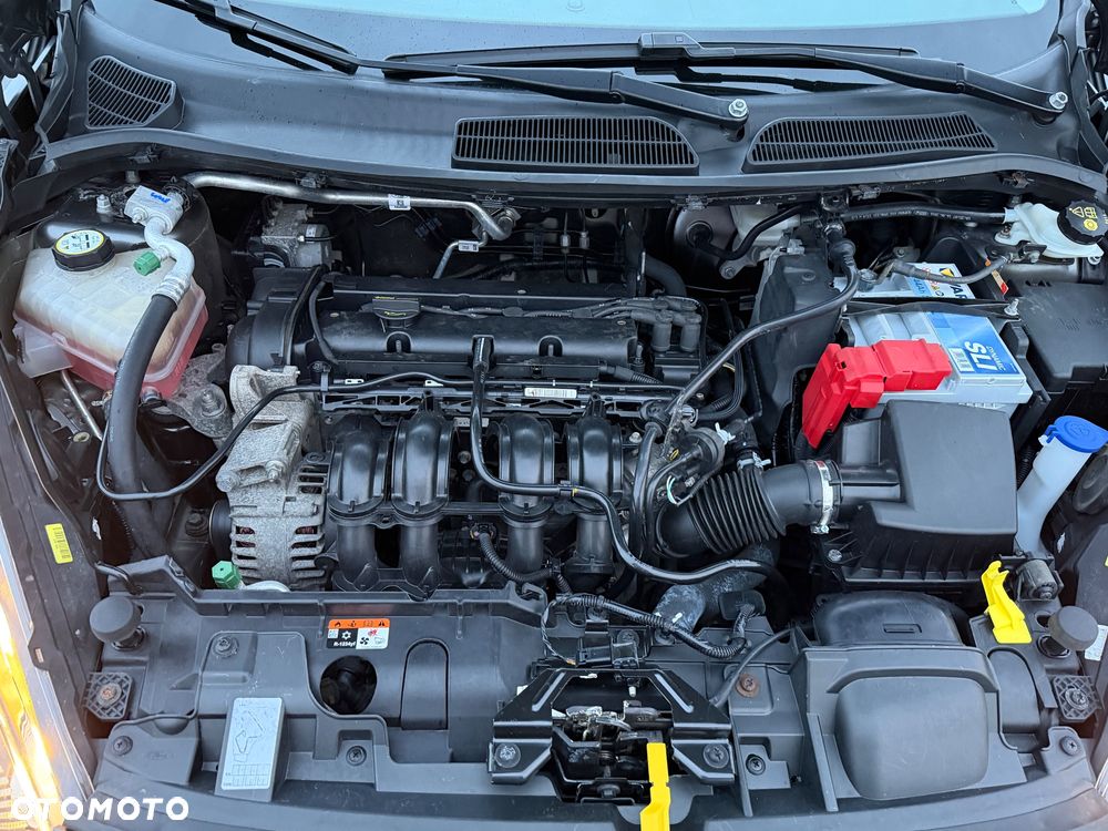 Ford Fiesta - 15