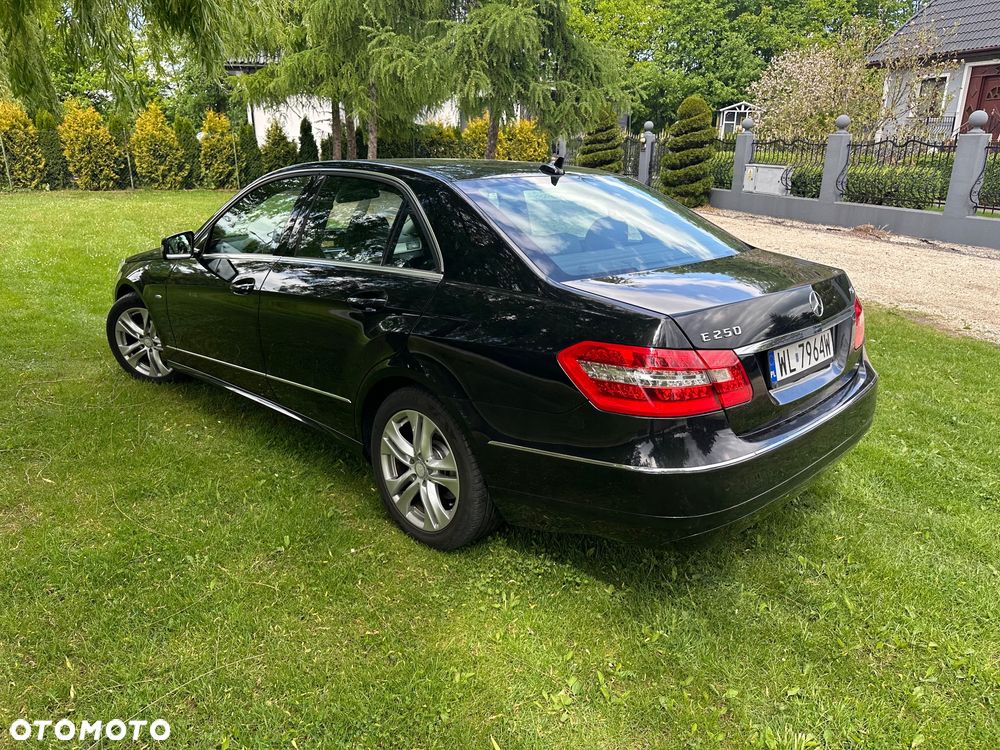 Mercedes-Benz Klasa E 250 CDI DPF BlueEFFICIENCY Automatik Avantgarde - 14