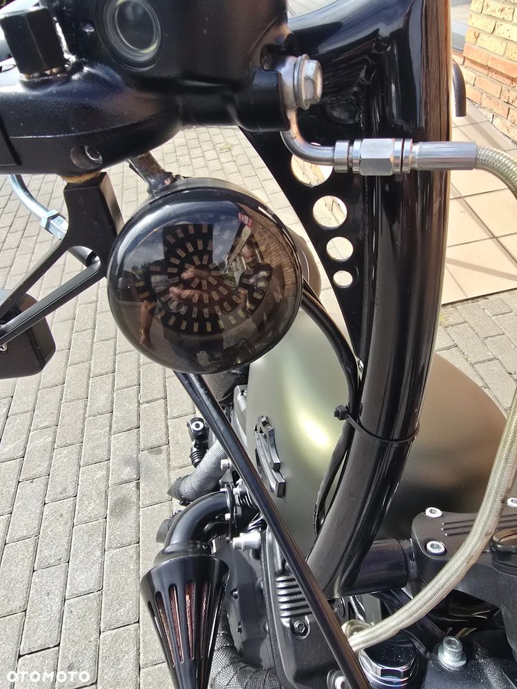 Harley-Davidson Sportster Iron 883 - 12