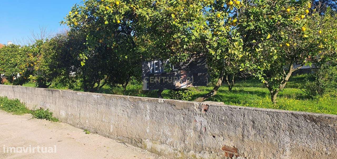 Terreno Urbano murado para construção com 1485 m2 em Vale Figueira - Grande imagem: 2/17