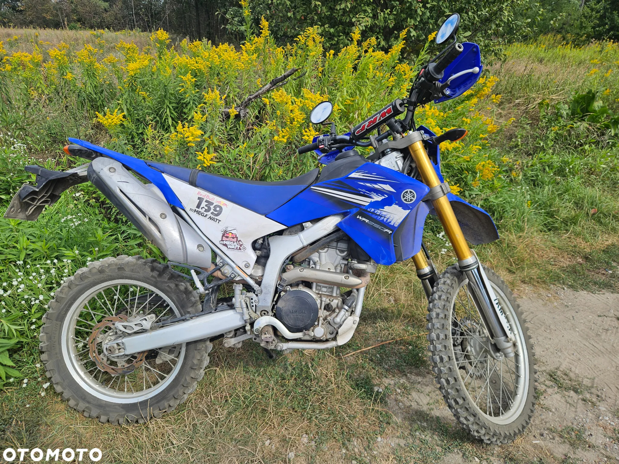 Yamaha WR