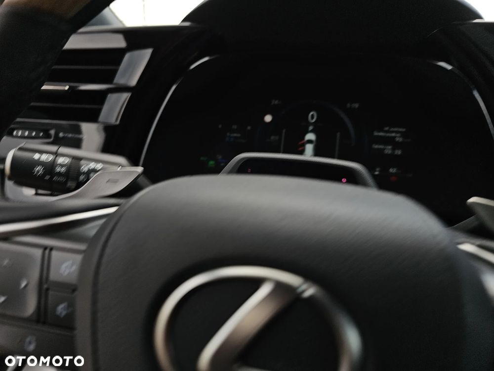 Lexus Inny ver-300-omotenashi - 14