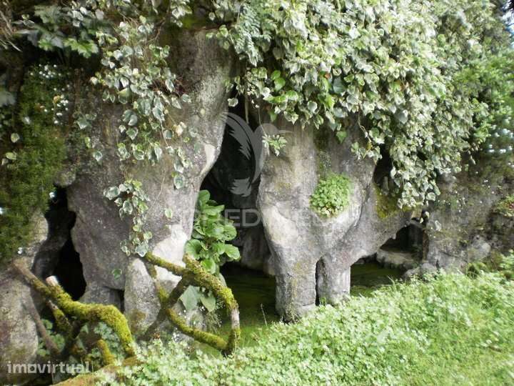 Quinta T6 com 5,6 Hectares, Duas Moradias e Água Própria | Gouveia - Grande imagem: 5/16