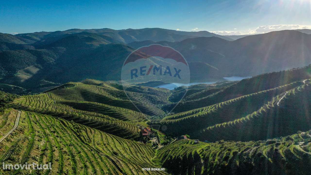 Quinta T5 para venda - Grande imagem: 5/31