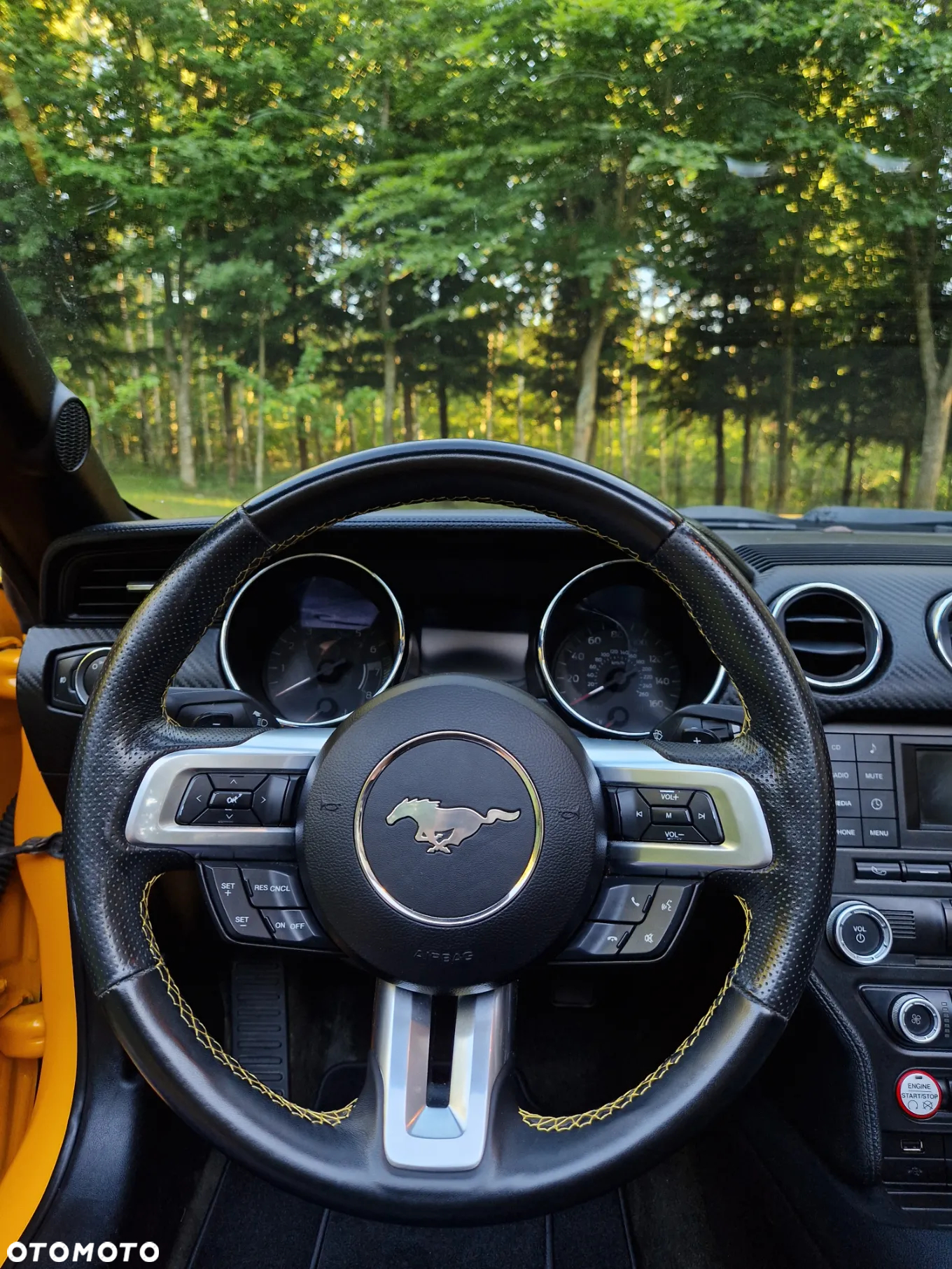 Ford Mustang 3.7 V6 - 16