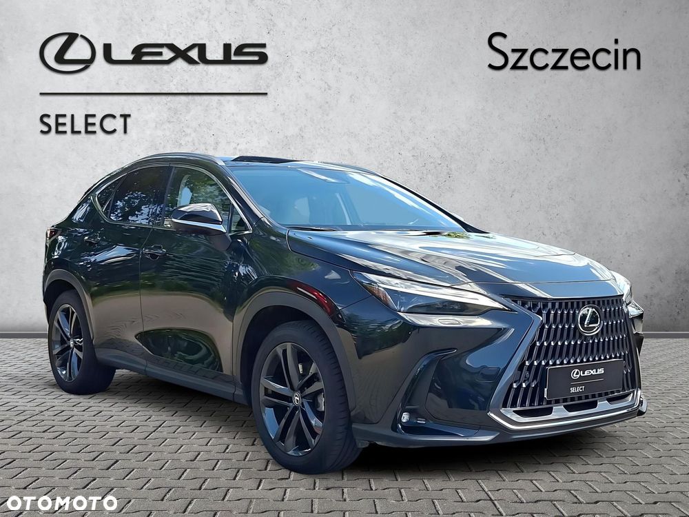 Lexus NX - 6