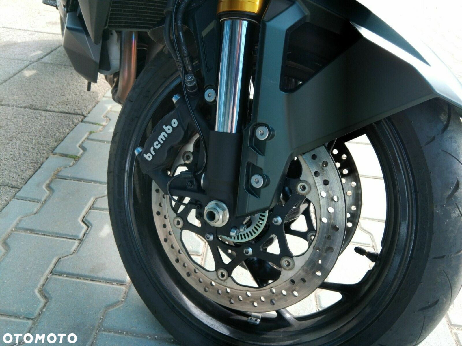 Suzuki GS - 8
