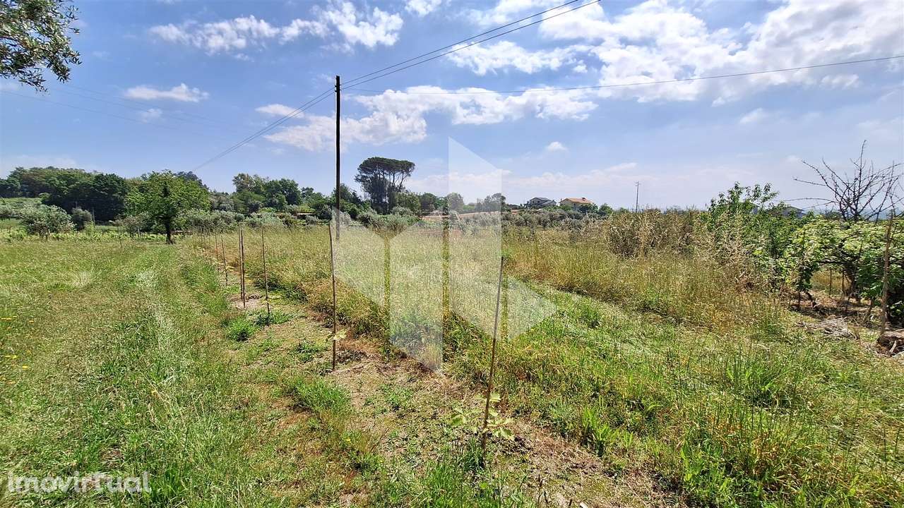 Terreno Rústico  Venda em Lajeosa do Dão,Tondela - Grande imagem: 3/9