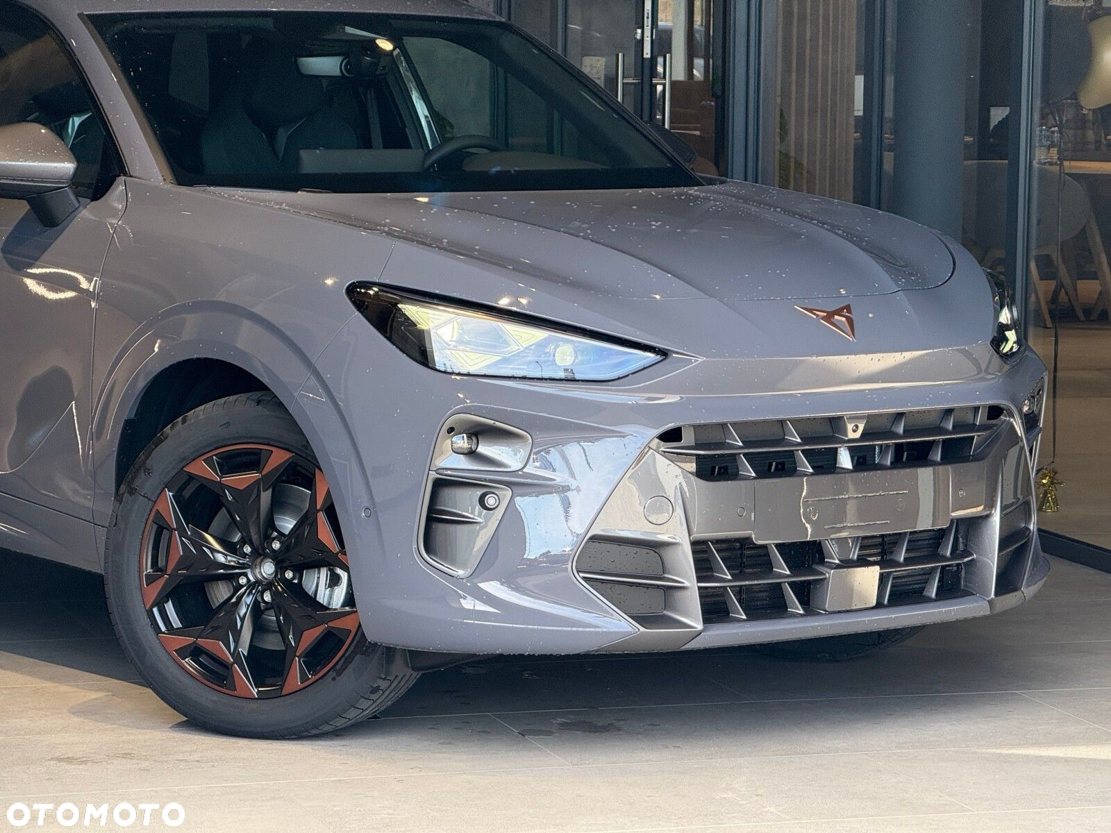 Cupra Terramar - 2