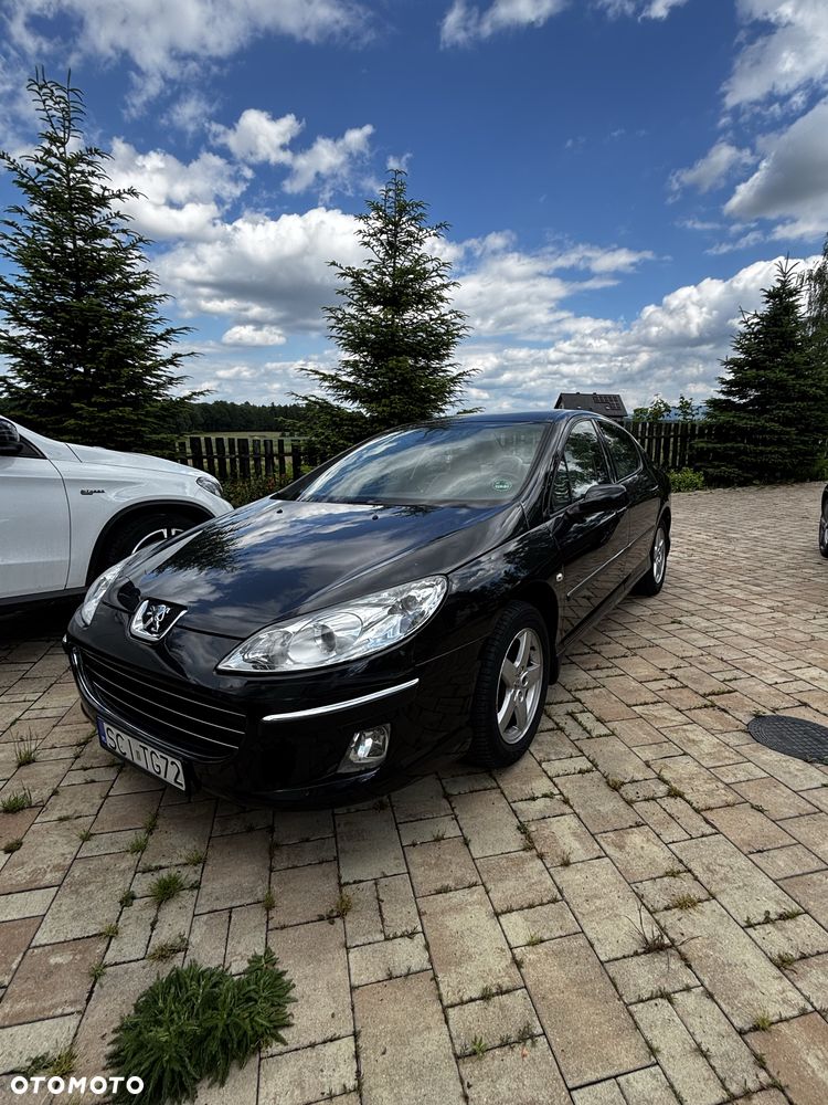 Peugeot 407 - 6