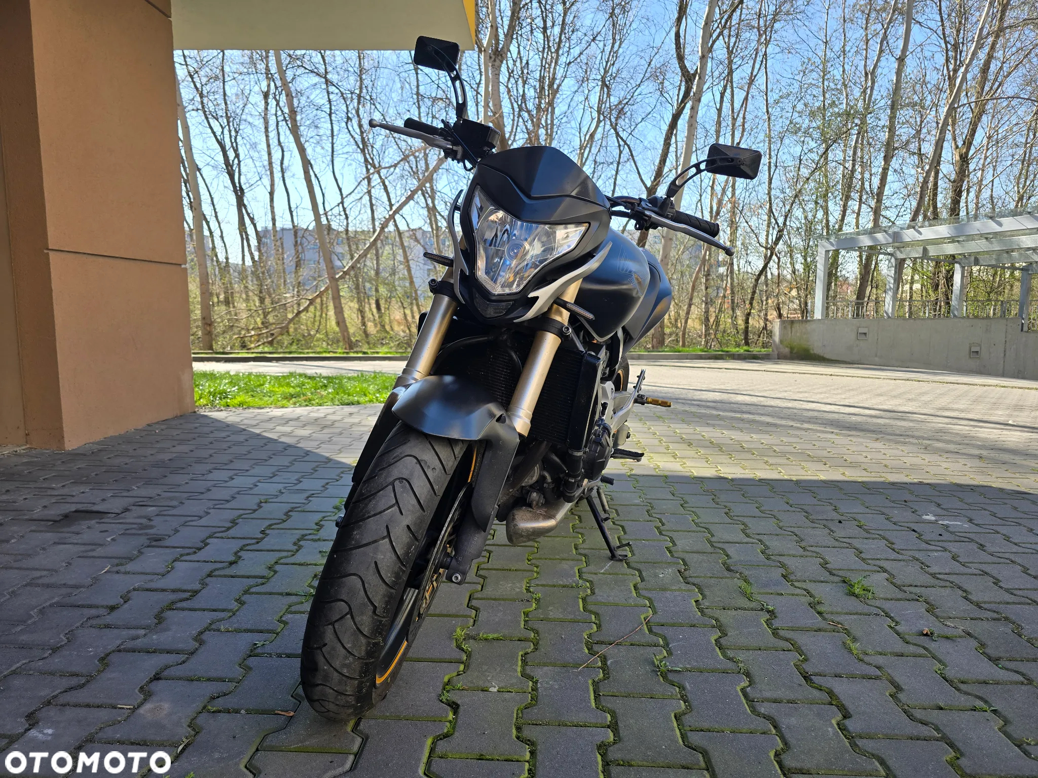 Honda Hornet - 3