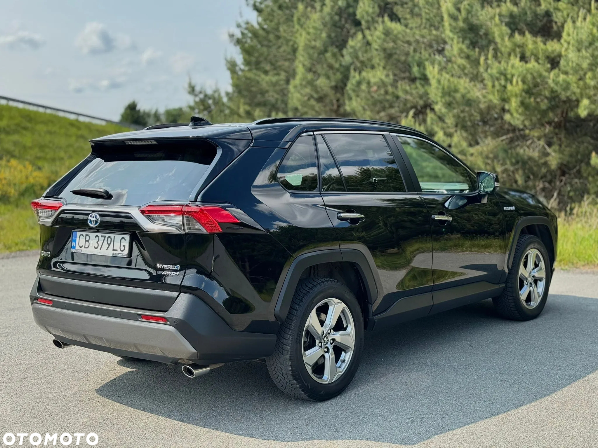 Toyota RAV4 2.5 Hybrid Executive 4x4 - 6