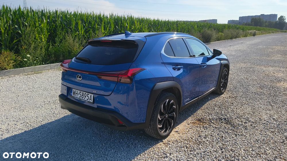 Lexus UX - 10
