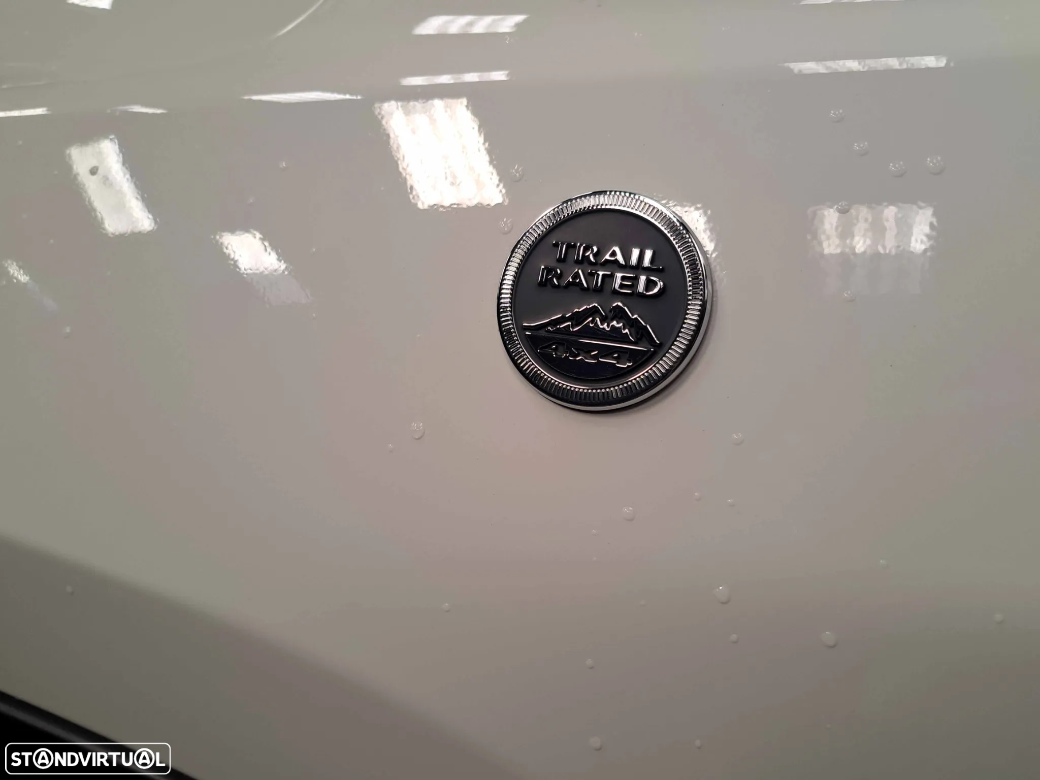 Jeep Compass 1.3 TG 4Xe Trailhawk - 26