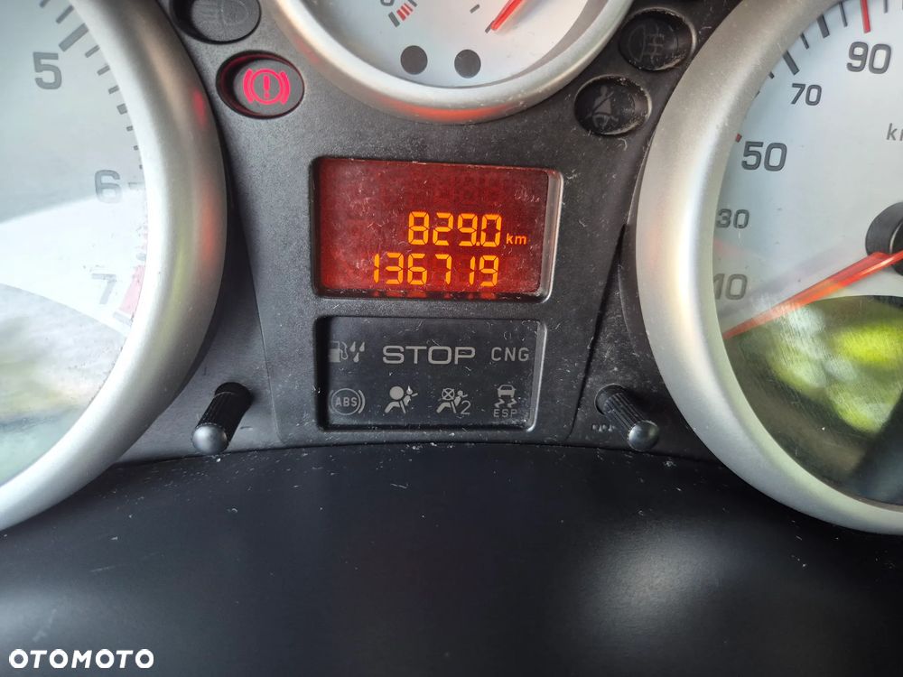 Peugeot 206 plus - 12