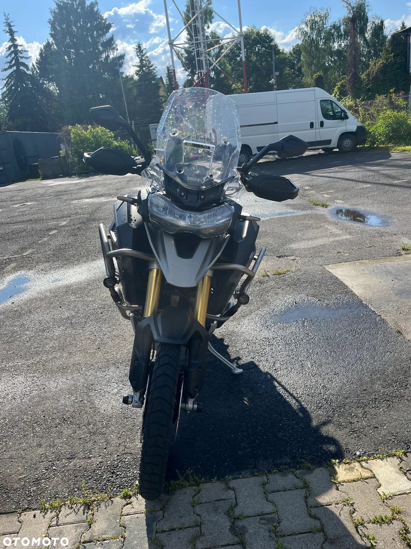 Triumph Tiger - 4
