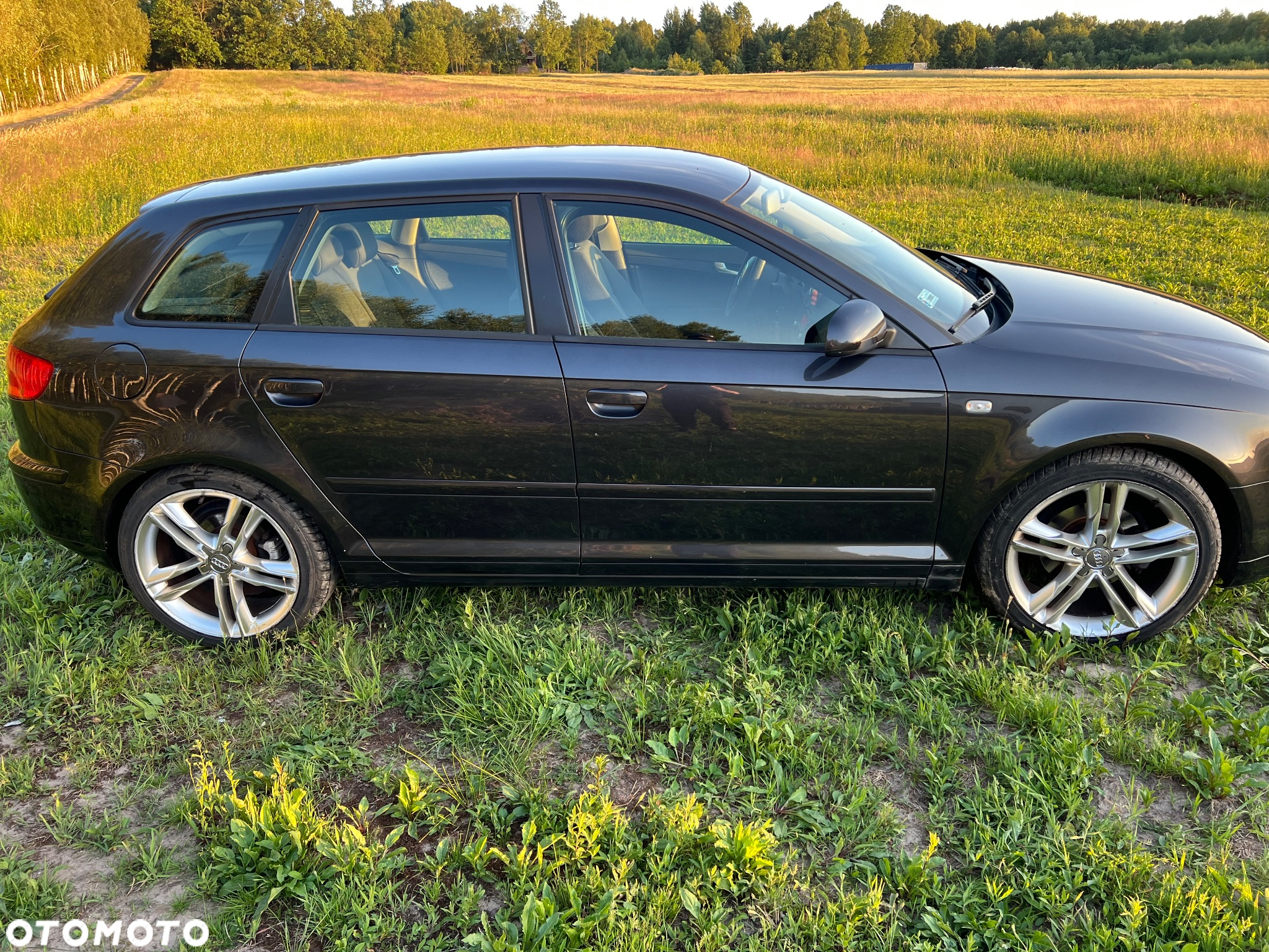 Audi A3 1.6 Sportback Ambiente - 5
